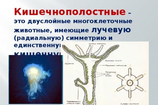 Где взять ссылку на кракен