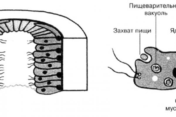 Ссылка на кракен 11